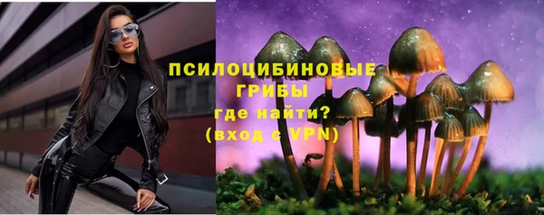 дурь Нея