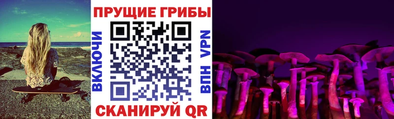 Галлюциногенные грибы Psilocybine cubensis  Красный Сулин 