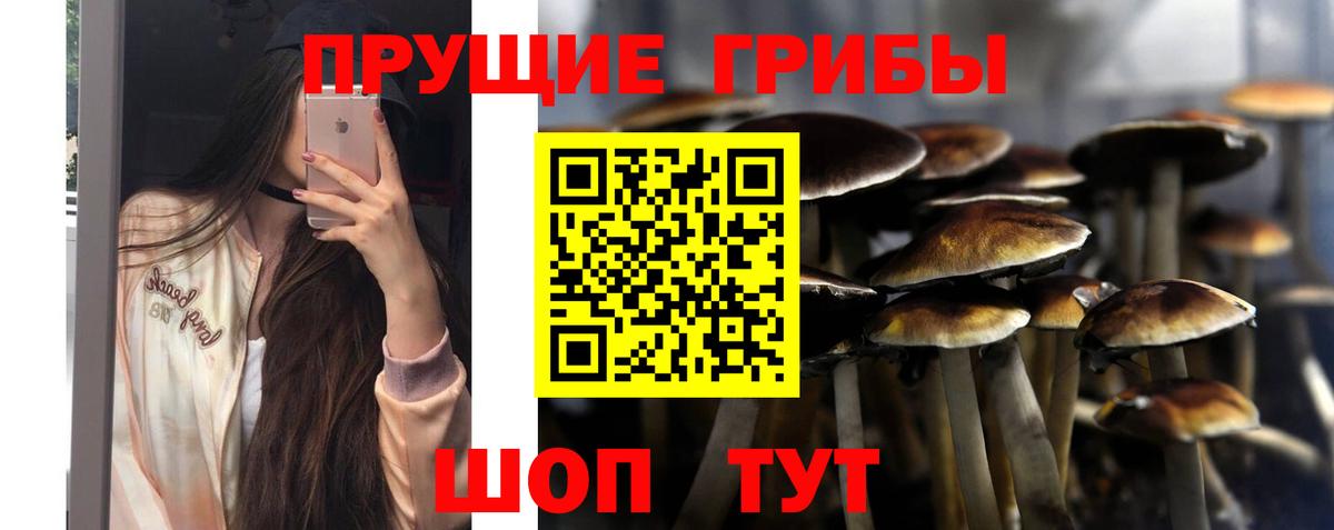 Гашиш  Экстази  МДМА  Меф МЯУ МЯУ   Кокаин  Красный Сулин  Канабис 